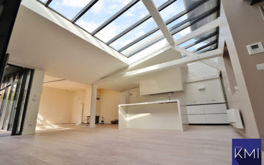 LOFT + TERRASSE DE 50M2