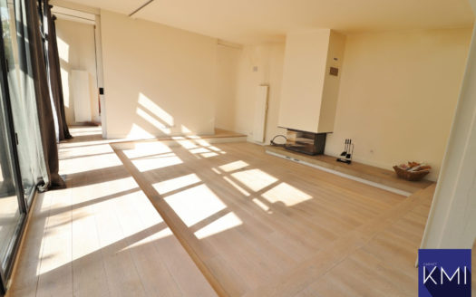 LOFT + TERRASSE DE 50M2