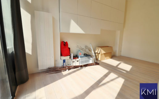 LOFT + TERRASSE DE 50M2