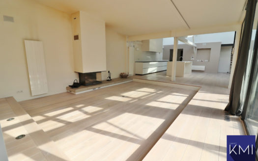 LOFT + TERRASSE DE 50M2