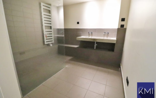 LOFT + TERRASSE DE 50M2