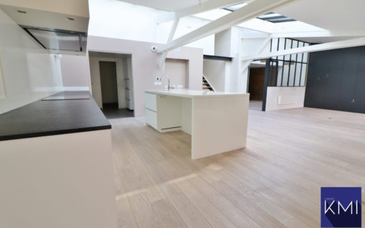 LOFT + TERRASSE DE 50M2