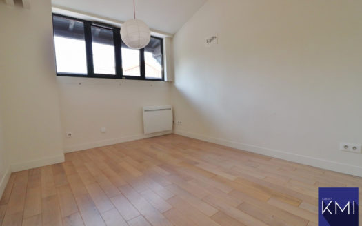 LOFT + TERRASSE DE 50M2