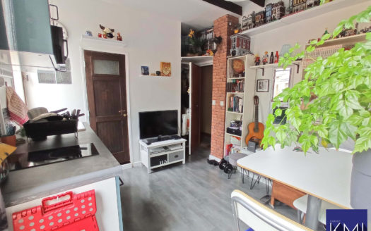 Bagnolet Studio Mézannine