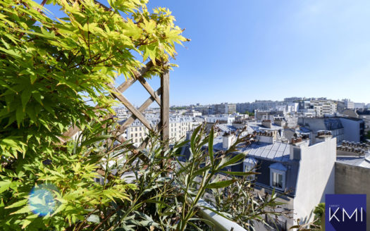 2 pièces + balcon avec vue sur les toits de Paris