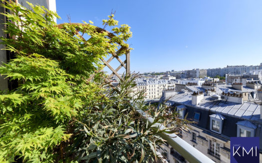 2 pièces + balcon avec vue sur les toits de Paris