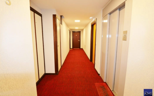 Appartement 2 pièces secteur Gambetta + cave + poss parking en