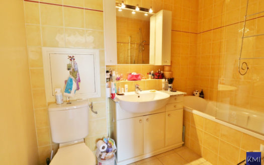 Appartement 2 pièces secteur Gambetta + cave + poss parking en