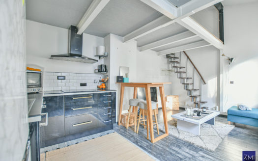 Studio avec mezzanine