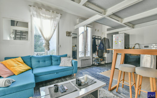 Studio avec mezzanine