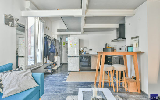 Studio avec mezzanine