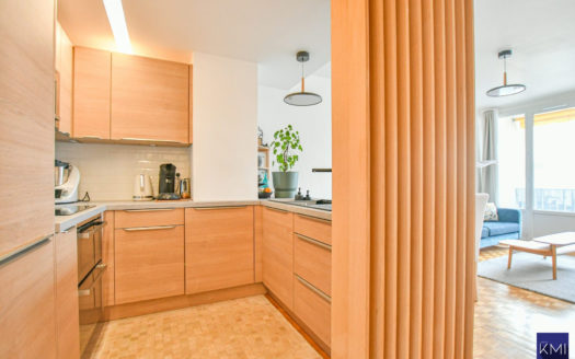 3pièces- étage élevé- place de la nation