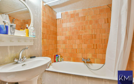 2/3 PIECES + GRENIER