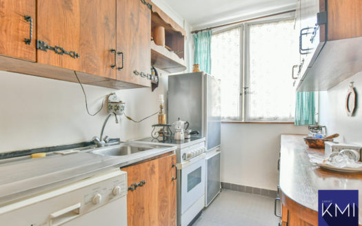 3 pièces + cave -PARC MONTSOURIS -Paris 13ème