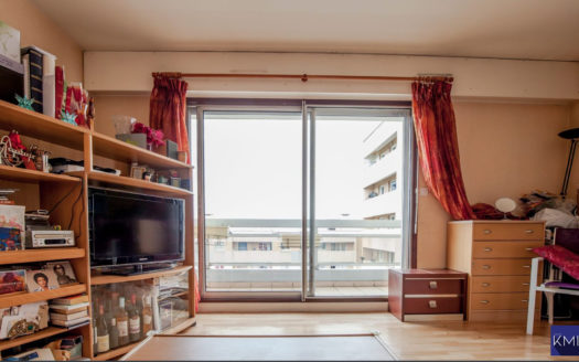 2 pièces+BALCON VUE DEGAGEE